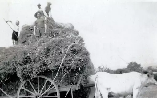 Durmignat en Histoire